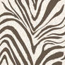 Texture Zebra:new: