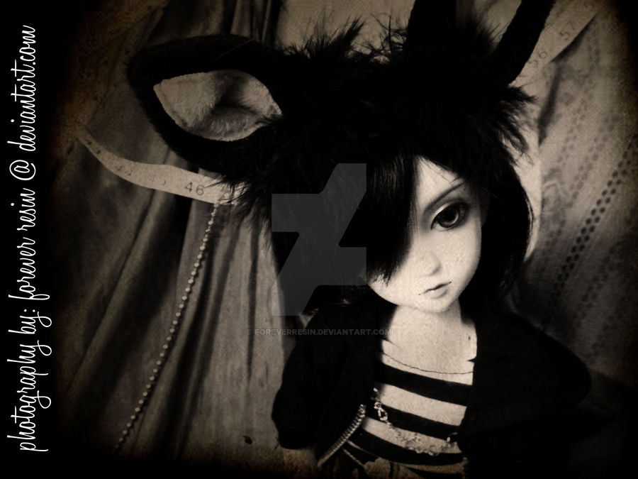 The 'black' rabbit. by ForeverResin on DeviantArt