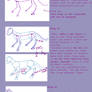 Basic Animal Anatomy Tutorial