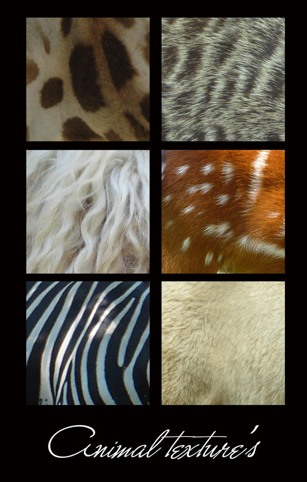 Visual Texture Animals animal textures by flocska on DeviantArt