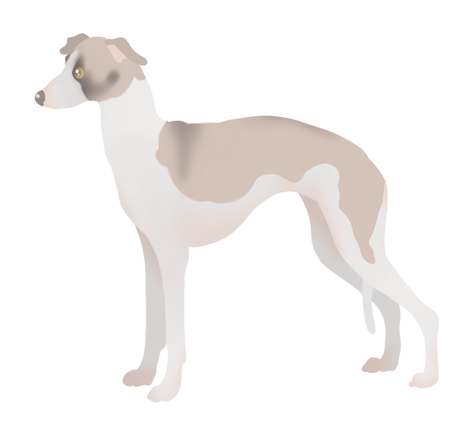 ESK Million Dollar Baby by Eleiria on DeviantArt