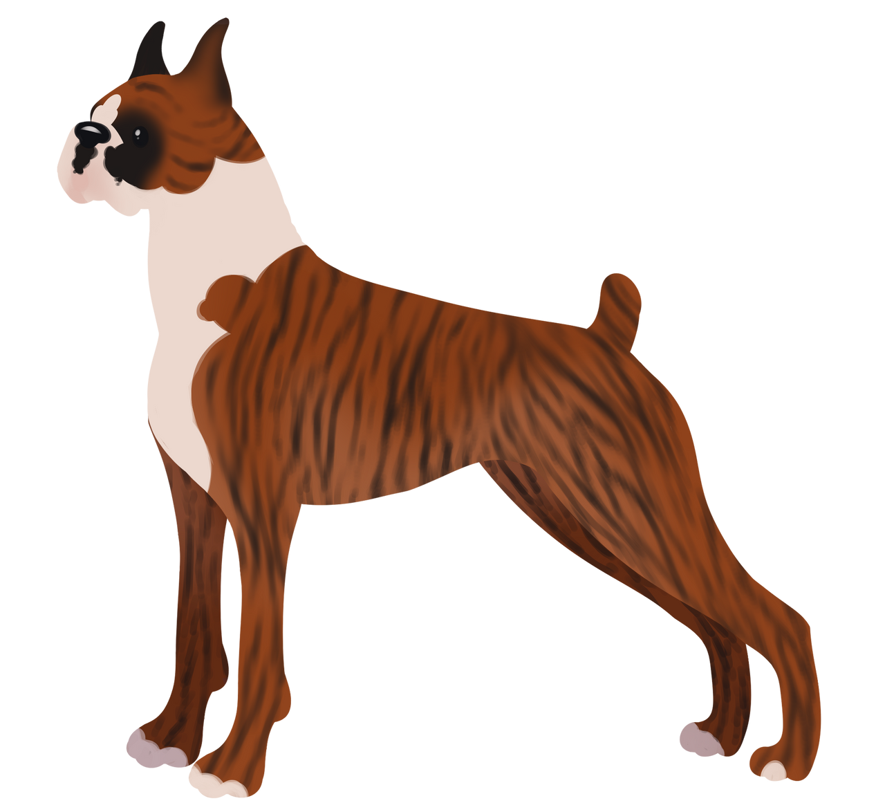 Deviantart Boxer Dog OK- Boxer Puppy1 by Elemental-Ele on DeviantArt