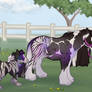 Feliquine Halter Show Entry - Bijou and Bijou