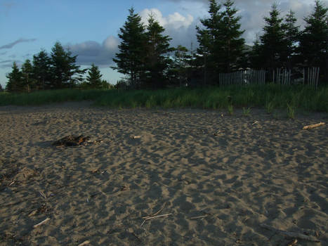 A day at the beach