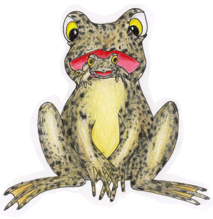 Gastric Brooding Frog By Leahck On Deviantart
