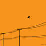 Wire Birds -widescreen-