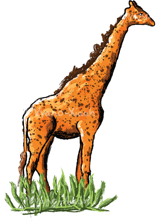 Freckled Giraffe