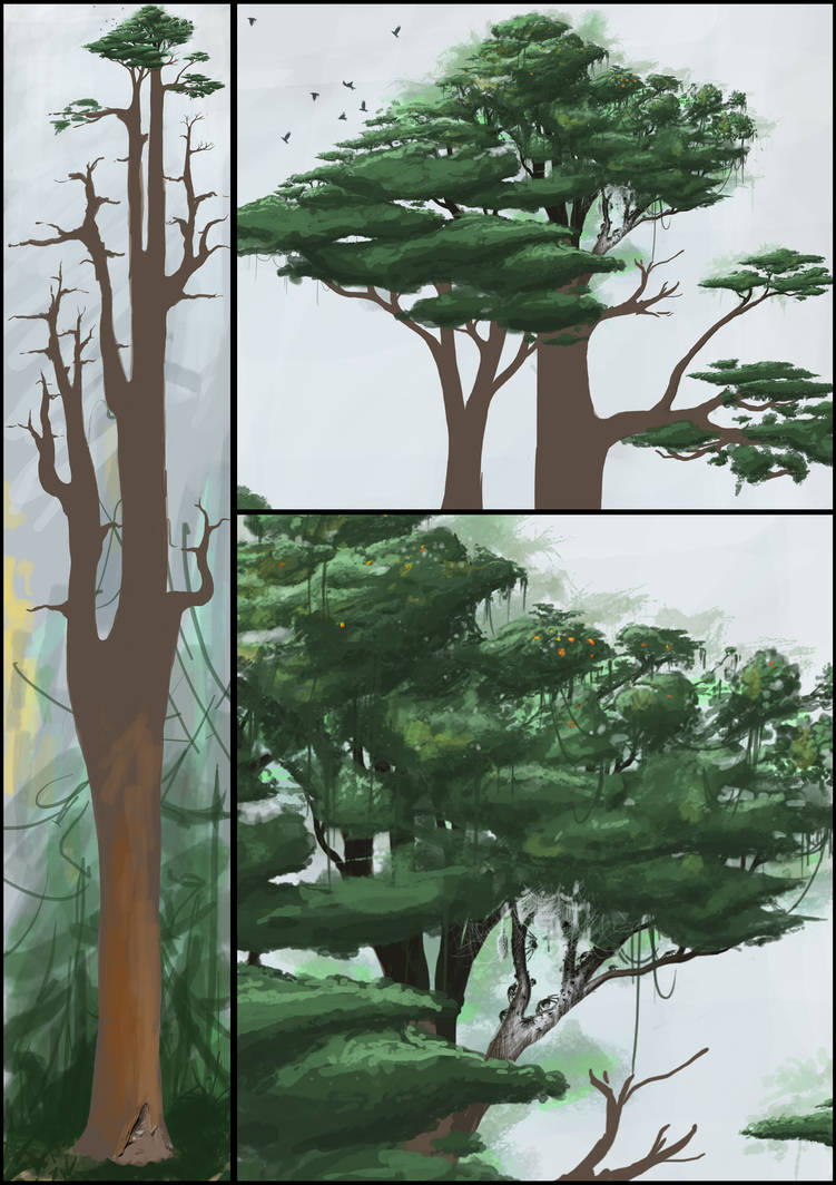 Big Tree by Davoo on DeviantArt