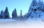 Winter by LilyannHale