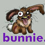 bunnie