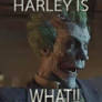 Joker finds out harley's pregant