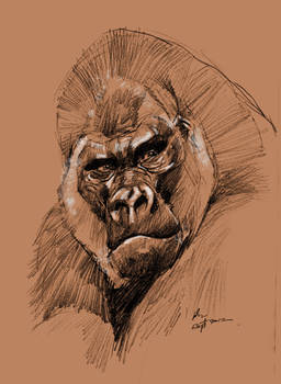 daily sketch 1151