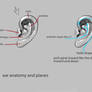 ear anatomy and planes