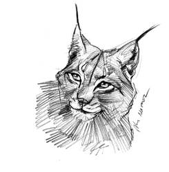 mandatory daily cat sketch 1604