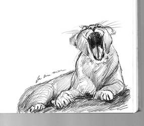 mandatory daily cat sketch 1754 by nosoart