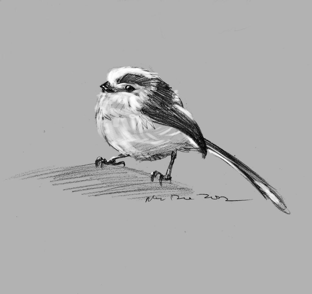 daily sketch 1827