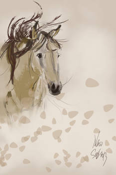 daily sketch 2562