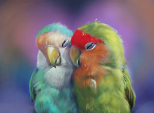 Love bird PS