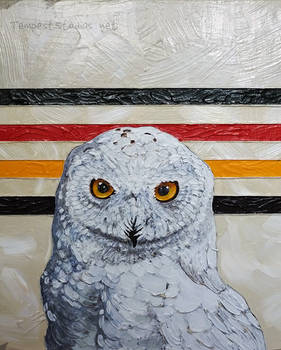 Usual Suspects: Snowy Owl