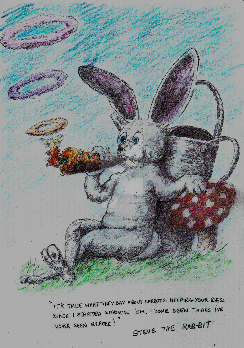 Steve the Rabbit by Nelliehunter on DeviantArt