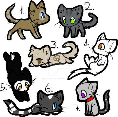 Warrior Adopts -7/7 OPEN-