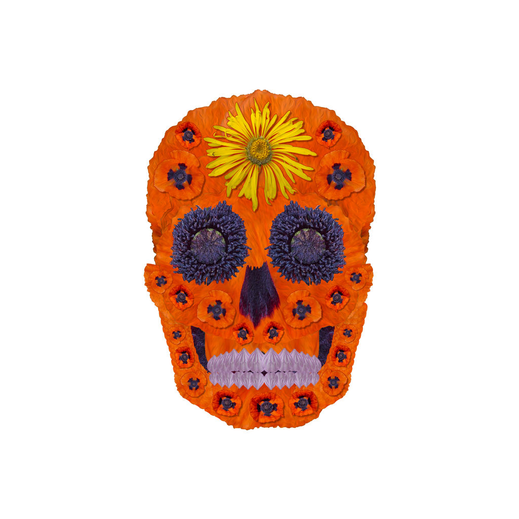 Flower Skull 1
