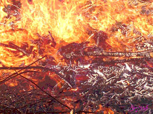 Fire close up