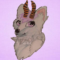 purple wolfie