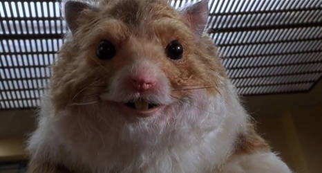 DolphinSeaBlue User Profile | DeviantArt