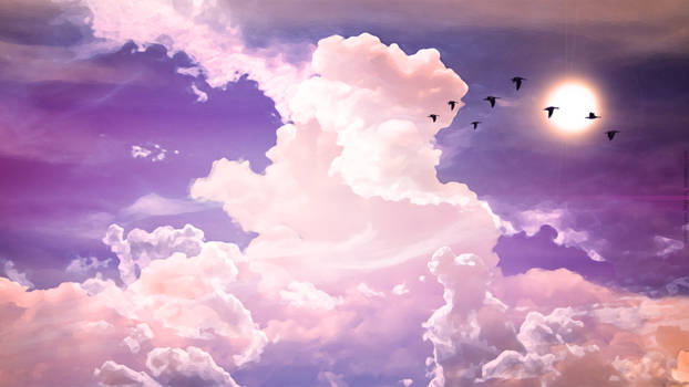 Birds Flying on the sky Wallpaper 1920x1080 HD