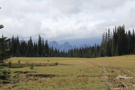 Washington Wilderness no.20