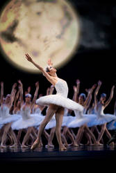 swan lake