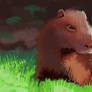 Capybara study