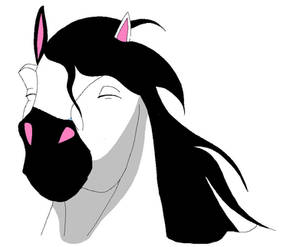 horse for adopt-a-luv