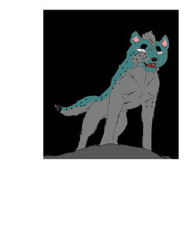 koga to adopt