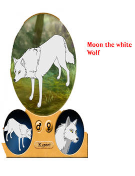 Moon with BBA maker