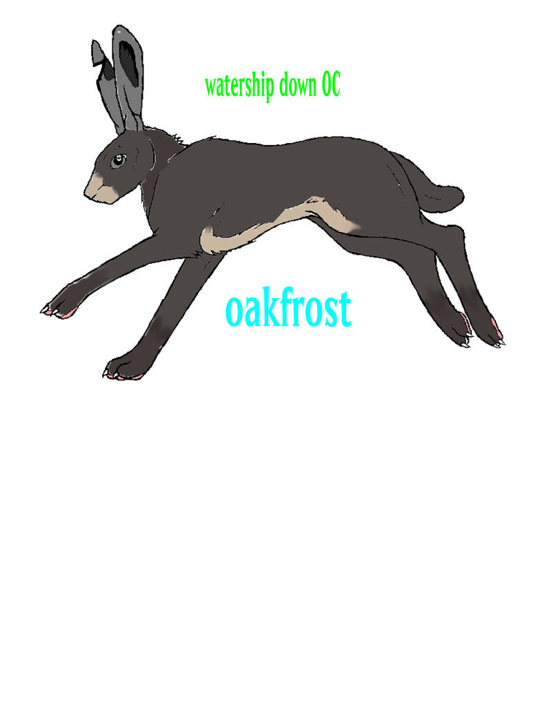 Oakfrost the rabbit by LOST09 on DeviantArt