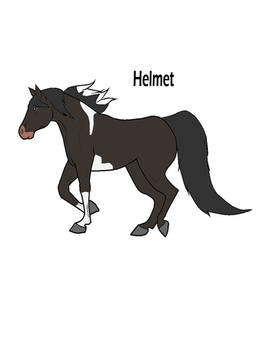 Helmet the horse
