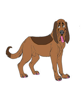 Travis the bloodhound