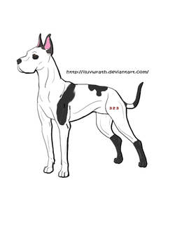 Dagwood the great dane