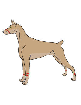 the scarred Dobie: Ramses