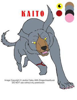 Kaito Ref sheet