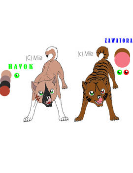 Havok and Zawatora ref sheet