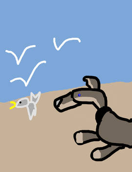 chasing the birds