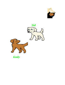 Kody and Sid labs