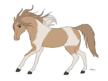 Maple
