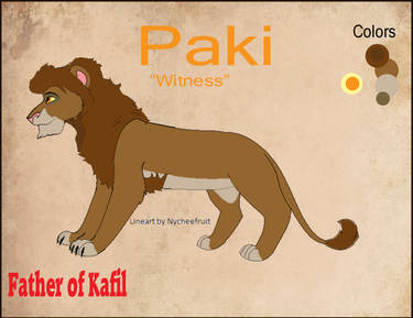 Paki Ref sheet