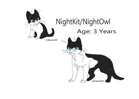 NightKit/NightOwl