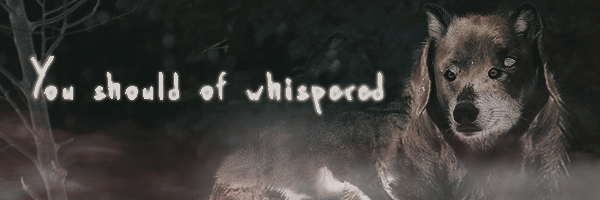 Creepy Rungnir banner made by Tobin