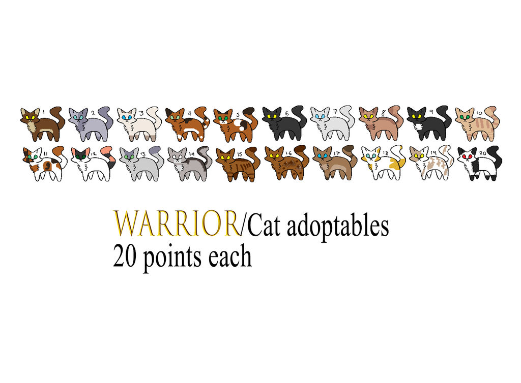 cat adoptables